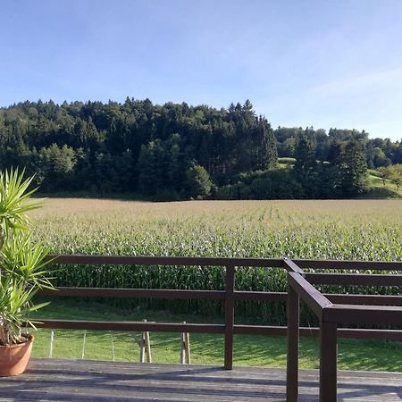 Ferienhaus Am Bach Kirchberg an der Raab Zewnętrze zdjęcie