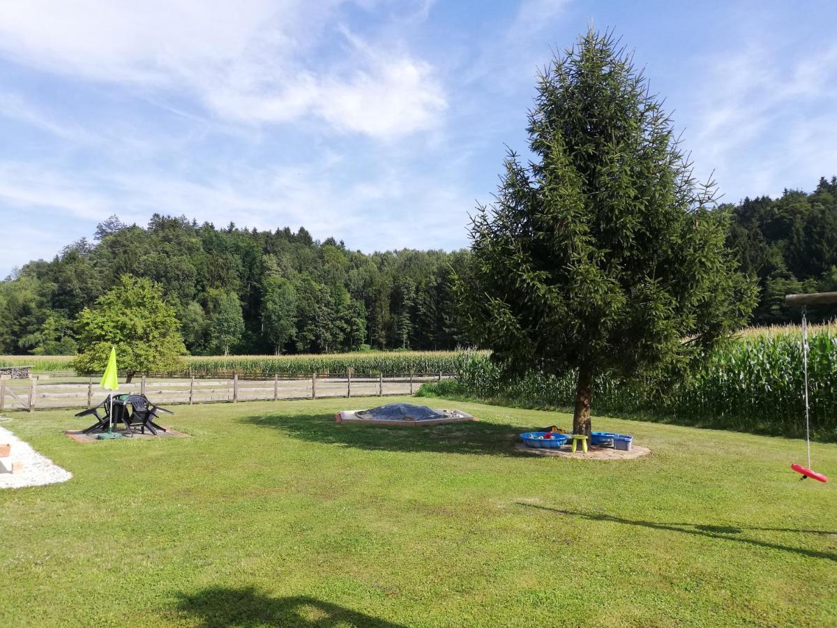Ferienhaus Am Bach Kirchberg an der Raab Zewnętrze zdjęcie